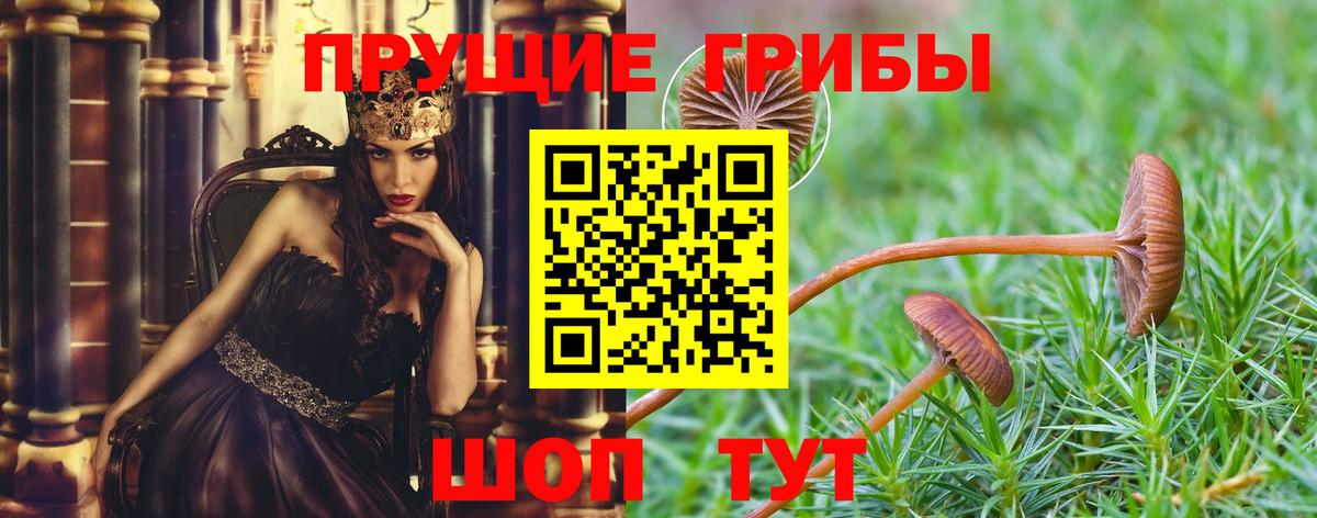 Галлюциногенные грибы мицелий Павлово